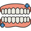 teeth (1) teeth (1)